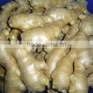Chinese Fresh Air Dried Ginger thumbnail-5