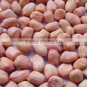Peanut thumbnail-1