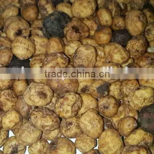 Tiger Nuts thumbnail-1