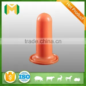 2L Calf Feeding Milk Bottle thumbnail-2