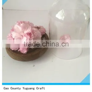Antique Wooden View Flower Plate With Glass Bell Jars thumbnail-4