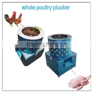 Multifunctional Automatic Poultry Chicken Plucker With Rubber Fingers thumbnail-2