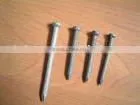 Metal Nails thumbnail-1