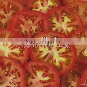 Newest Electric Tomato Pollination Tool/electric Tomato Pollinators thumbnail-1