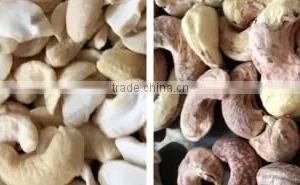 New Condition Belt Type Cashew Nuts Color Sorter thumbnail-4