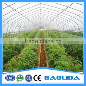 BaoLiDa Agricultural Greenhouse thumbnail-3