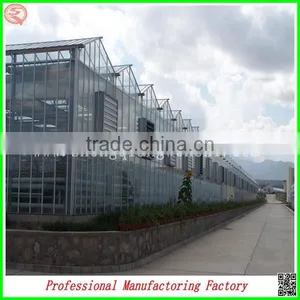 Practical PC Sheet Garden Green House for Strawberry/grape thumbnail-1