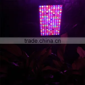 Double Lens Series 1000W LED Grow Light Full Spectrum for Indoor Plants Veg and Flower thumbnail-5
