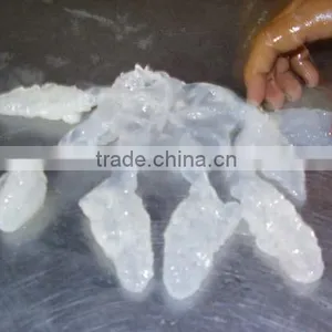 Salted Jellyfish thumbnail-1
