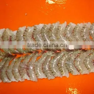 Flower Shrimps HLSO thumbnail-1