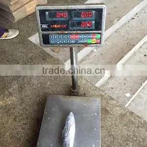 Marine Fish Bonito Whole Round Bonito Tuna Wholesale thumbnail-1