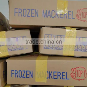 Frozen Pacific Mackerel Fish 250-350G thumbnail-3
