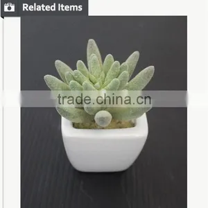 Cute Artifiical Mini Succulent With Ceramic Pot thumbnail-3