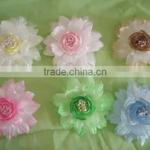 Flowers thumbnail-1