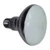 Mercury Blended Reflector Lamp thumbnail-1