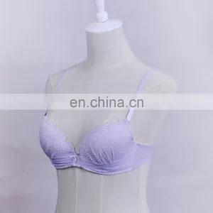 China Factory Comfortable Light Purple Padded Push Up Young Lady Bra thumbnail-4