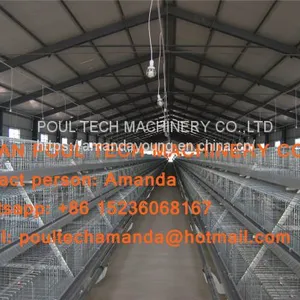 Qatar Poultry Farming A Type Battery Broiler Cage & Chicken Cage & Poultry Farm Equipment With Automatic Feeding & Drinking System thumbnail-2
