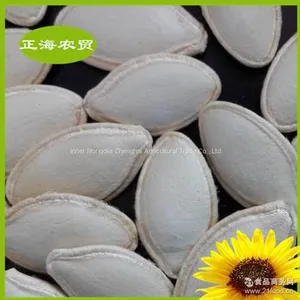 Pumpkin Seeds Shine Skin thumbnail-1