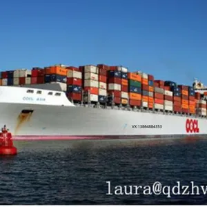 Qingdao ZHV International Logistics CO.,LTD. company overview - view 4 thumbnail