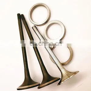 for MWM Deutz D226-3 D226-4 D226-6 TD226-6 Huge Size Forged Stellite Tips in ex Engine Valves Spindle Seats in Serts and Guides thumbnail-3