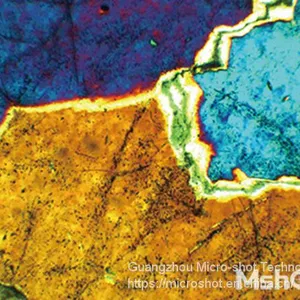 Professional Polarizing Microscope MP41 thumbnail-3