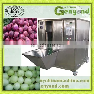 Factory Genyond Hot Sales Industrial Full Automatic Onion Peeler Peeling & Roots Tails Two Edds Cutting Machine thumbnail-3