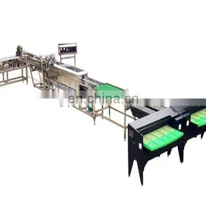 Factory Genyond Automatic Egg Washing Breaking Egg Liquid Pasteurization Making Machine Egg Powder Process Plant Production Line thumbnail-1