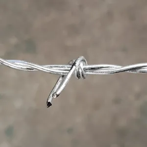 High Quality 50kg Barbed Wire Price Per Roll / Galvanized Barbed Wire Mesh Stainless Steel Barb Wire Fence Roll thumbnail-4