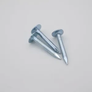 Galvanized Felt Nails With Mill Test Report for Quality Assurance thumbnail-5