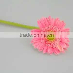 Excellent Quality Honey Products for 2016 Gerbera Flower thumbnail-5