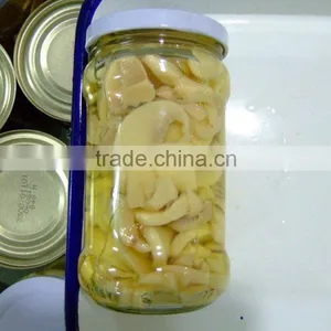 Mushroom in Glass Jar thumbnail-4