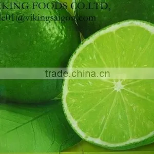 FRESH SEEDLESS LIME_GOOD QUALITY FROM VIET NAM thumbnail-4