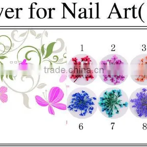 Dry Flower for Nail Art /nail 3D Decoration thumbnail-1