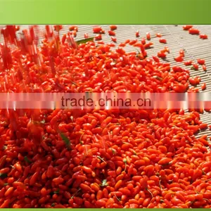 Super Fruit Gojiberry With Low Price thumbnail-2