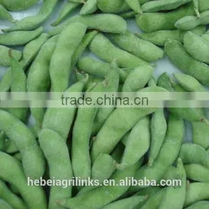 Frozen Soyabean, Frozen Type Fresh Soyabean thumbnail-1
