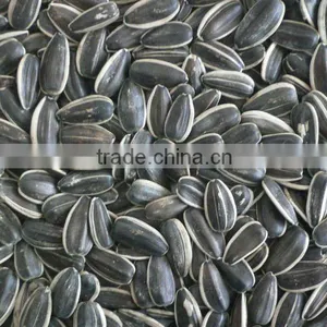 Sunflower Seeds 118 thumbnail-1