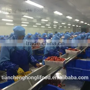 2015 New Crop IQF Strawberry thumbnail-1