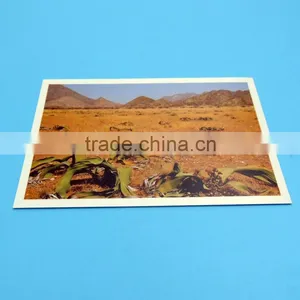 Hot Sale High Quality and Popular Card Printing Factory thumbnail-1