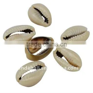 Sea Conch Shell Beads(BSHE-S044) thumbnail-1