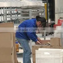 Shandong Shanbo Electric Machine Group Co., Ltd. company overview - view 4 thumbnail