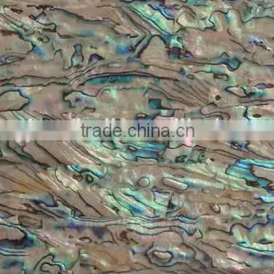 Abalone Shell Shell Mosaic Polished for Interior Wall Decoration thumbnail-1