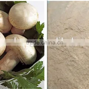 Kosher Fungal Chitosan thumbnail-2