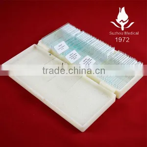 50pcs Set Human Histology Slides Human Tissue Slides thumbnail-1