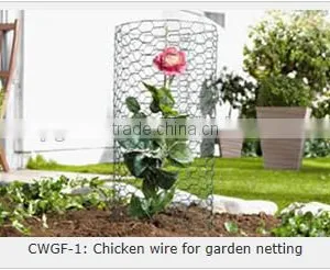 Supply Chicks Netting, Hexagonal Wire Netting (electro Galvanized, Hot Dipped Galvanized/ Hot-dipped Galvanized) thumbnail-2
