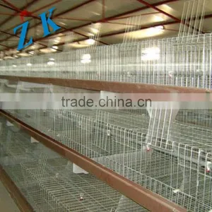 Battery Chicken Cage/layer Chicken Battery Cage/chicken Layer Cage for thumbnail-5
