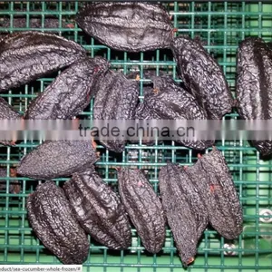 Sea Cucumber Whole Frozen thumbnail-4