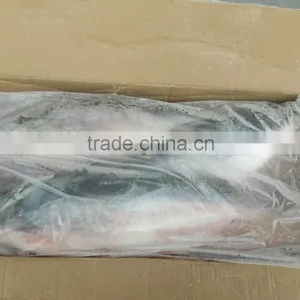 Frozen Pangasius Whole Round thumbnail-2