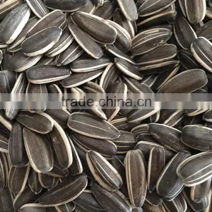 The Lowest Price Of Sunflower Seeds 5009 With High Quality thumbnail-1