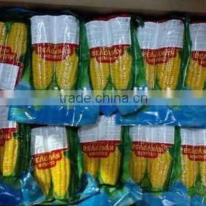 IQF Frozen Yellow Corn Cob in Vacuum Package thumbnail-2