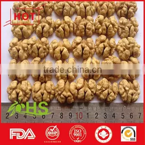 Walnut Kernel With Good Price thumbnail-2
